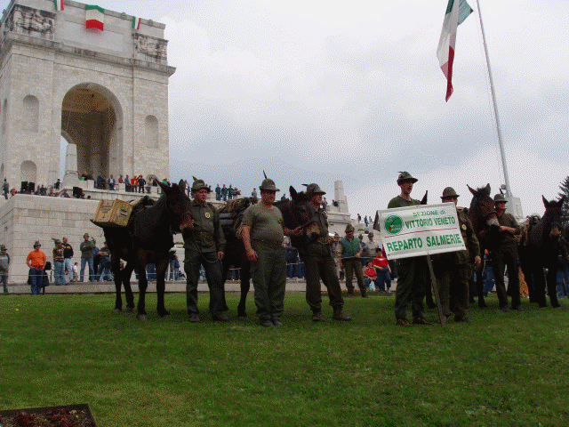 I muli al Sacrario di Asiago